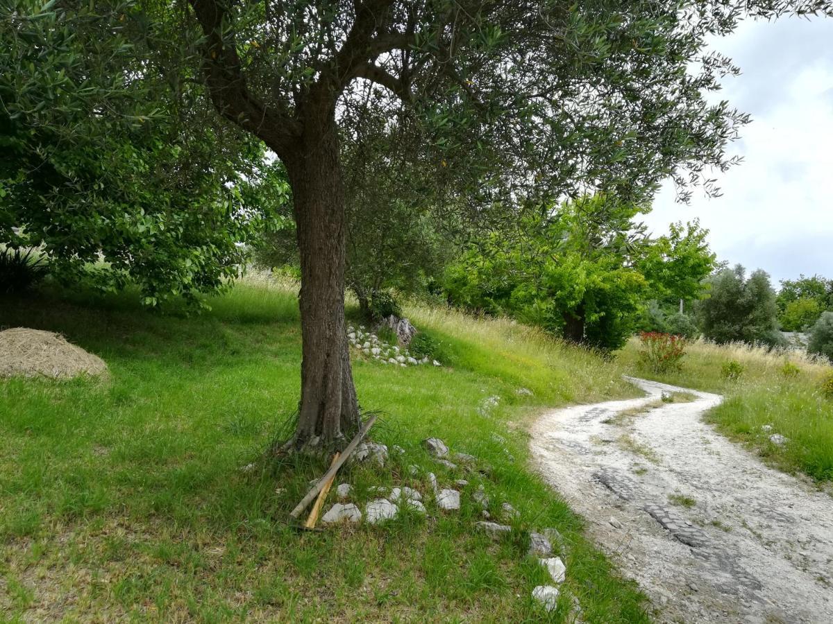 Agriturismo Campo Aperto Belvedere Ostrense Eksteriør bilde