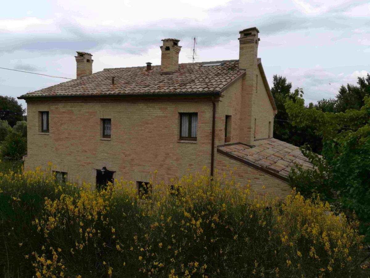 Agriturismo Campo Aperto Belvedere Ostrense Eksteriør bilde