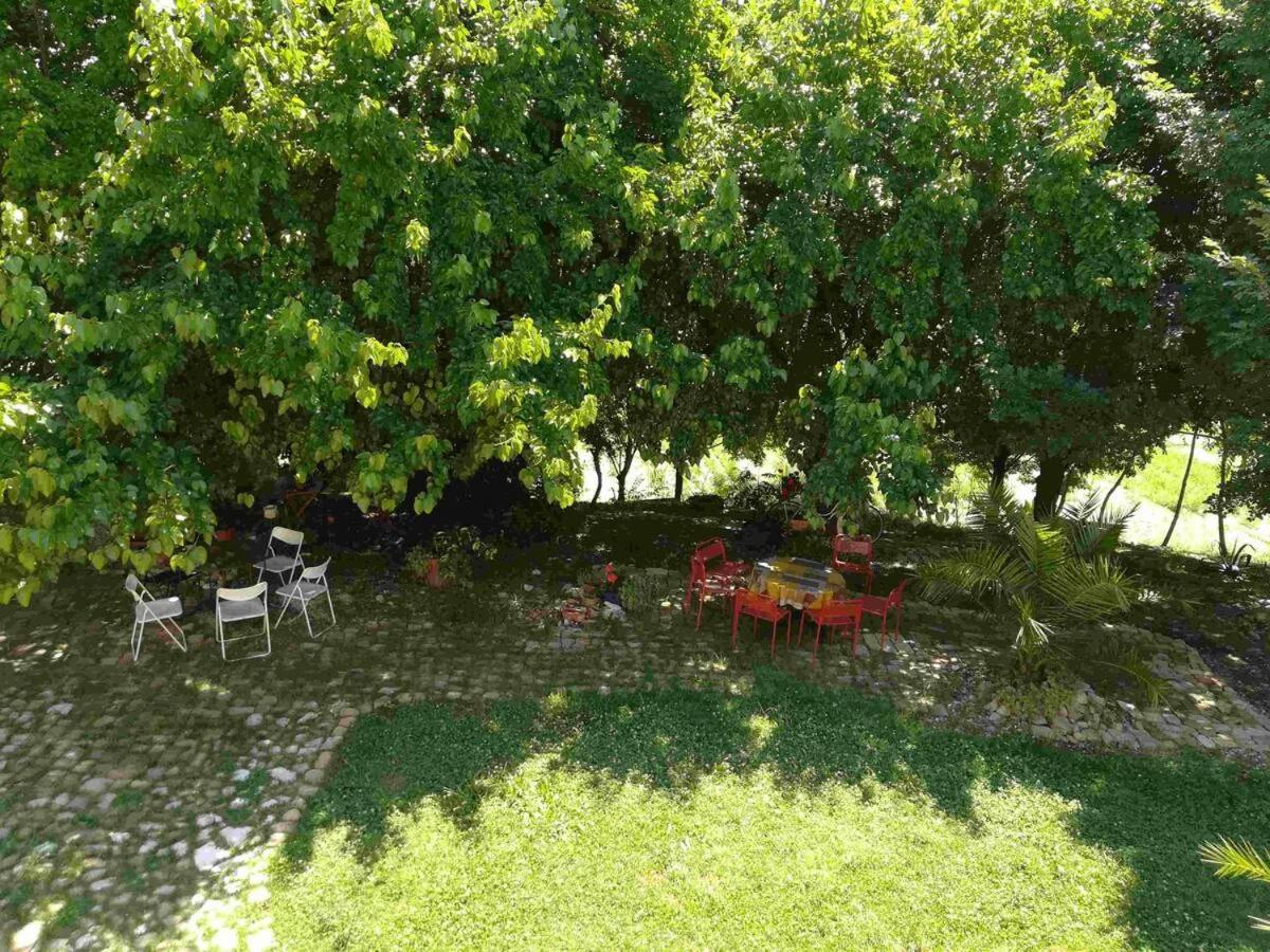 Agriturismo Campo Aperto Belvedere Ostrense Eksteriør bilde