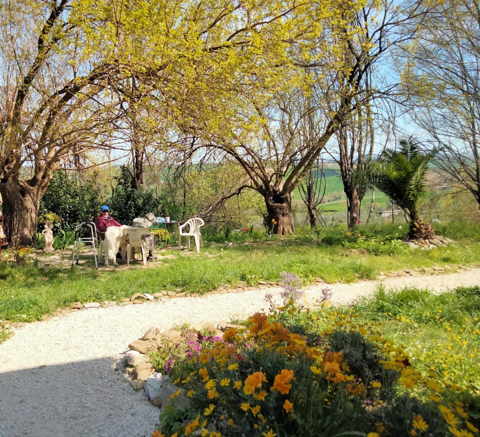 Agriturismo Campo Aperto Belvedere Ostrense Eksteriør bilde
