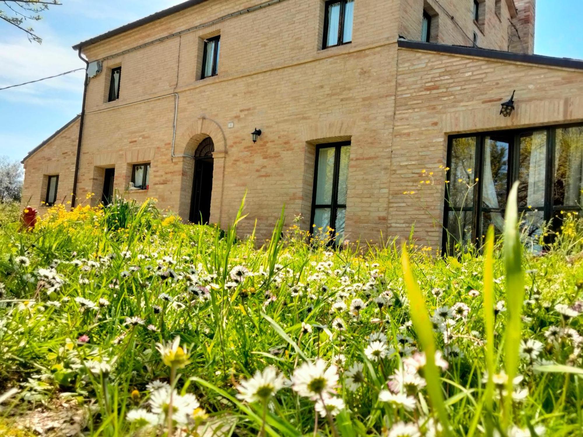 Agriturismo Campo Aperto Belvedere Ostrense Eksteriør bilde